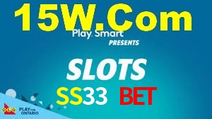 SS33 Login